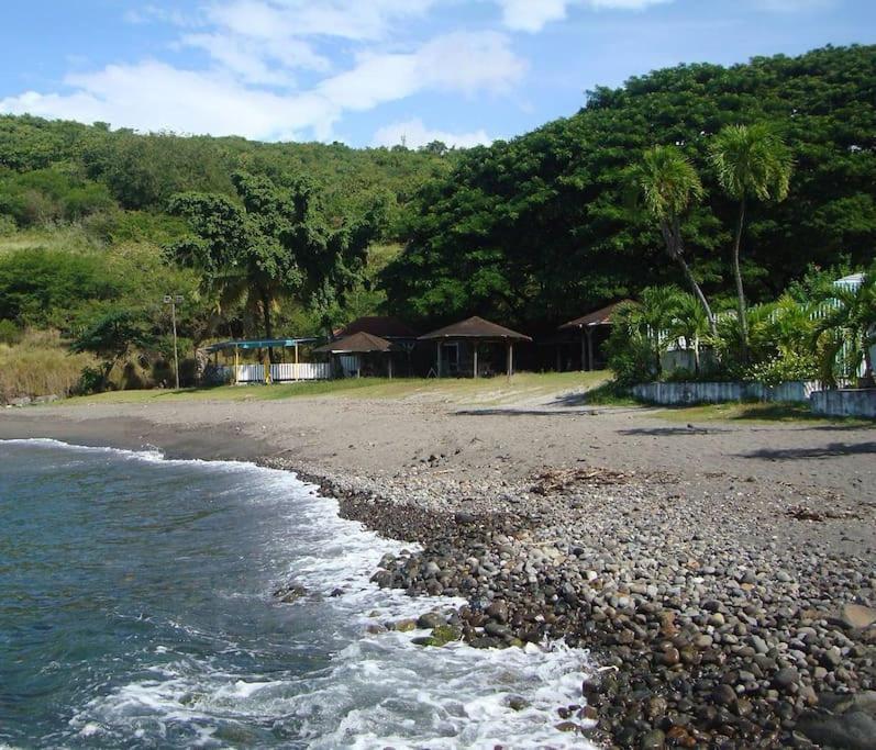 Maison La Voute Plage A 50M Et Riviere A Proximite Vieux-Habitants Exterior photo